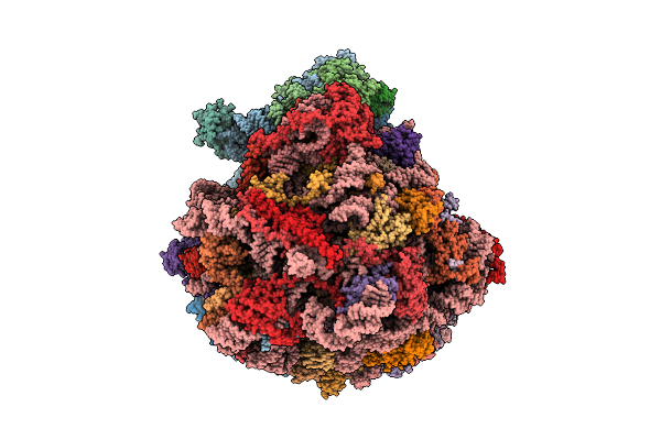 9RVU image