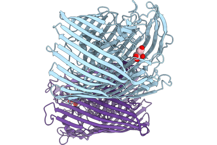 9RVX image