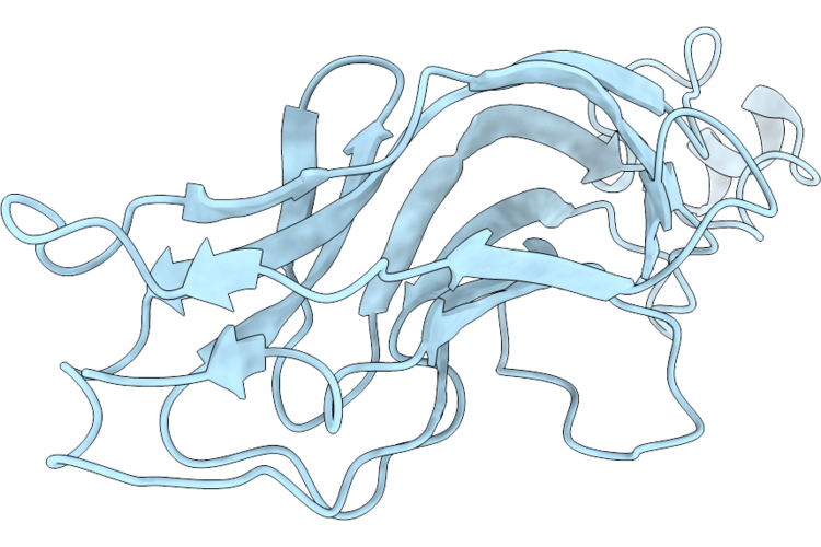 9RWW image