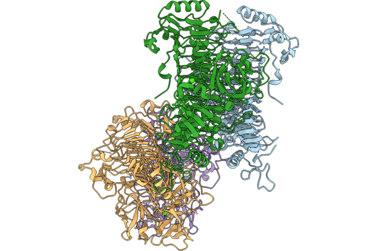 9RX2 image