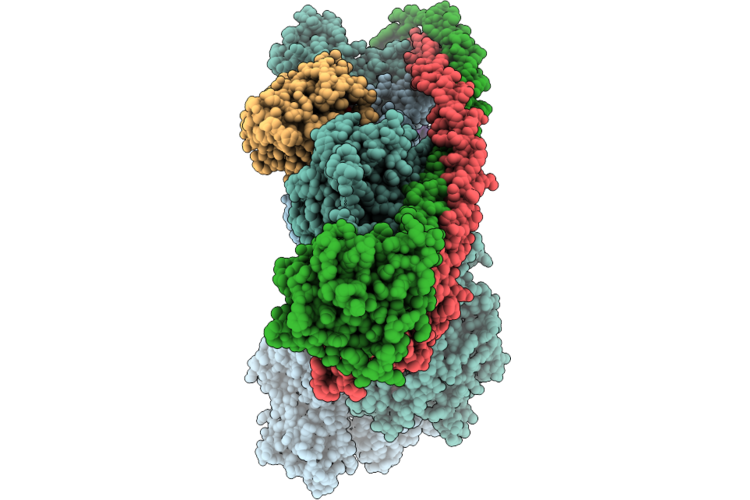 9RX4 image