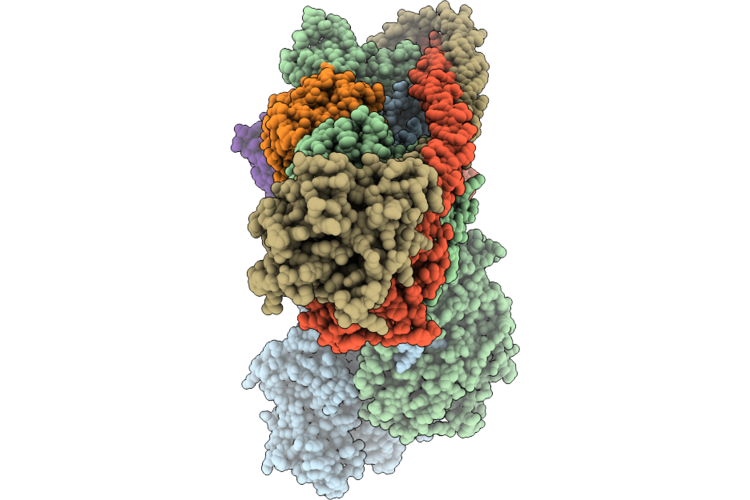 9RXB image