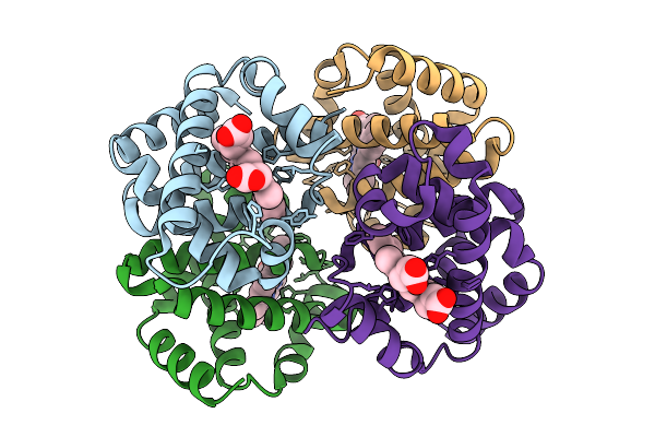 9RXG image