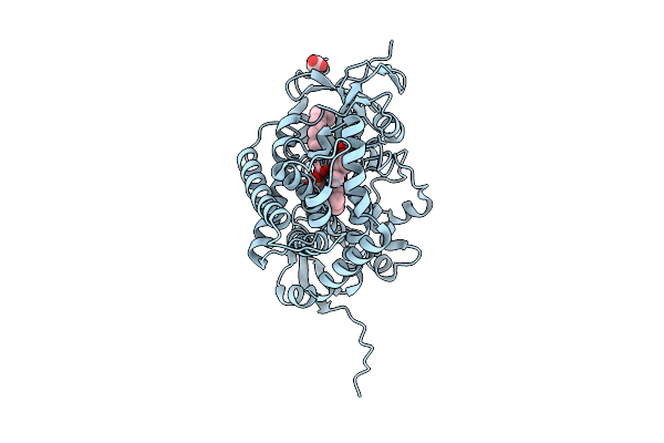 9RXH image
