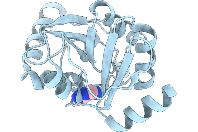 9RXJ image