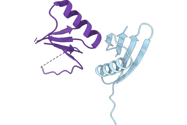9RXK image