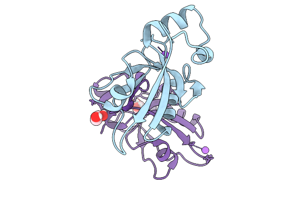 9RXN image