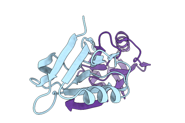 9RXP image