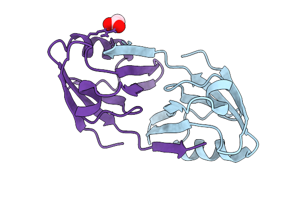 9RXQ image