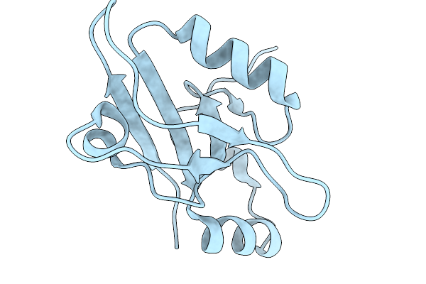 9RXR image