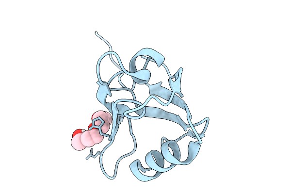 9RXT image