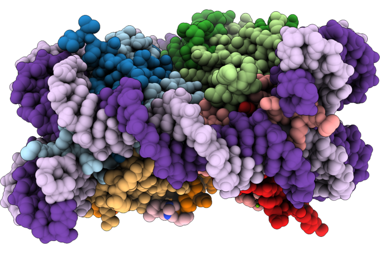 9RXV image