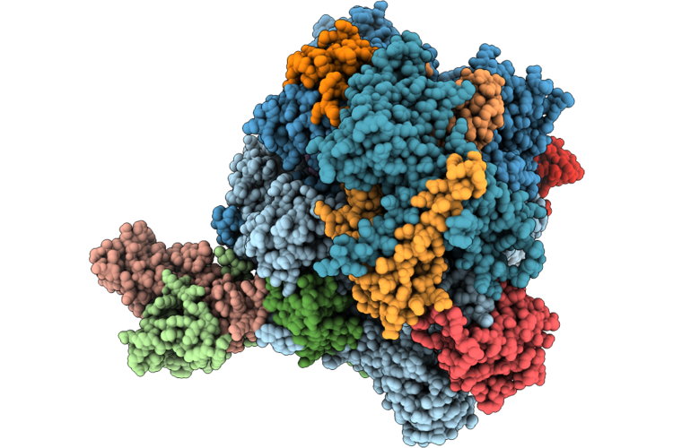 9RYB image