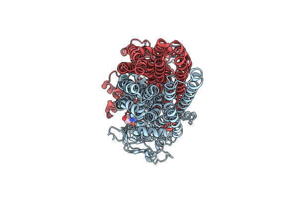 9RYF image
