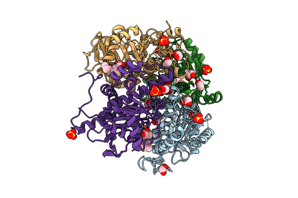 9RYG image