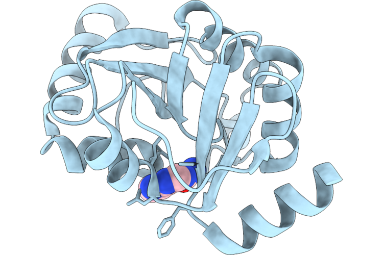 9RYH image