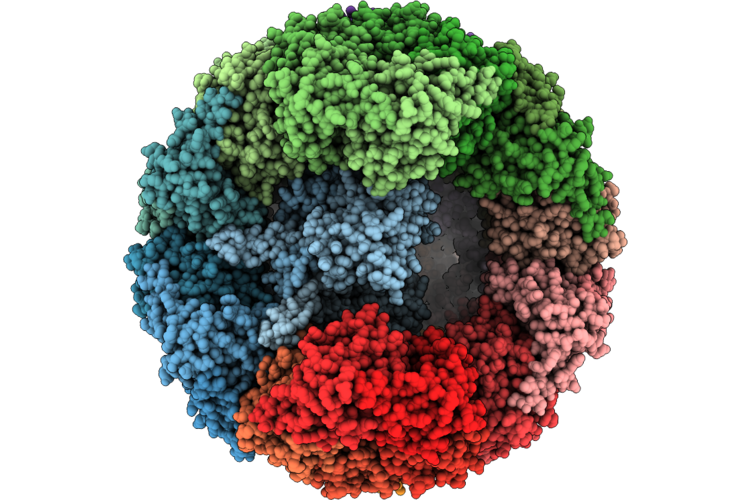 9RYM image