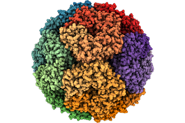 9RYP image