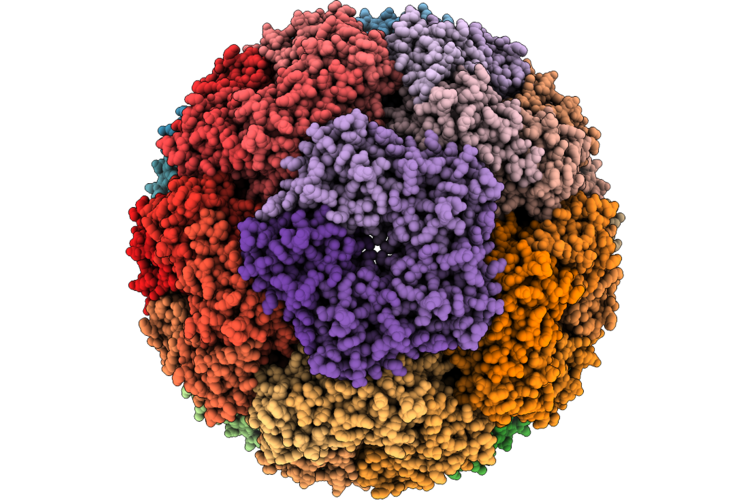 9RYV image