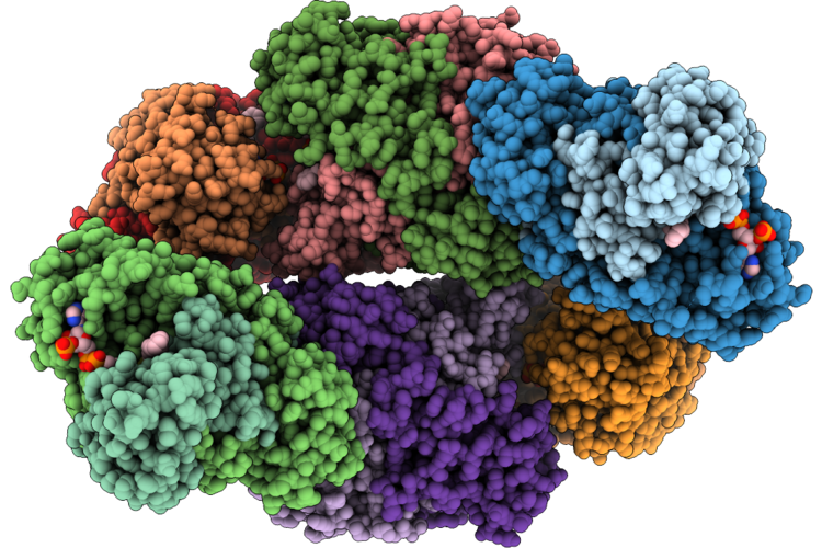 9RYZ image