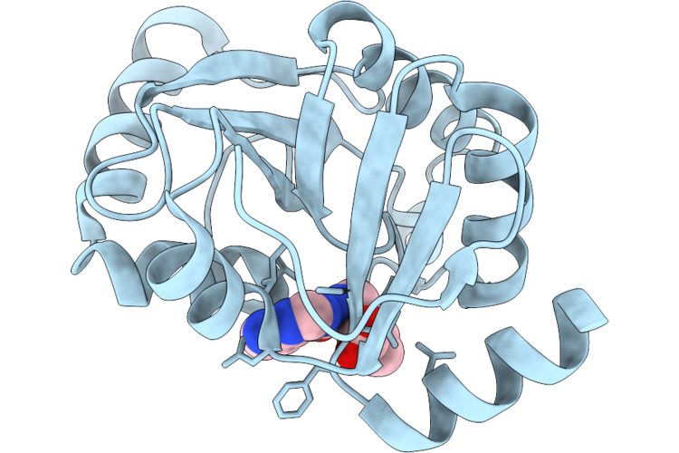 9RZB image