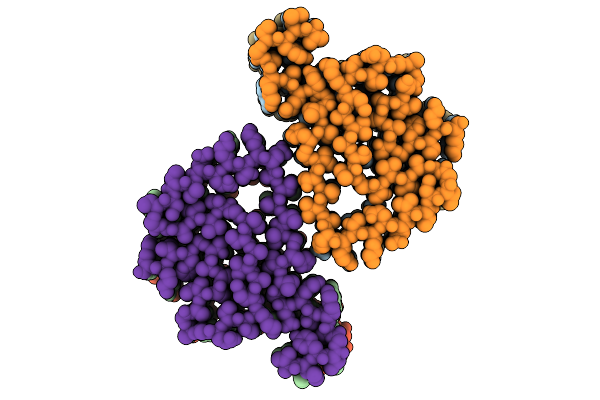 9RZF image