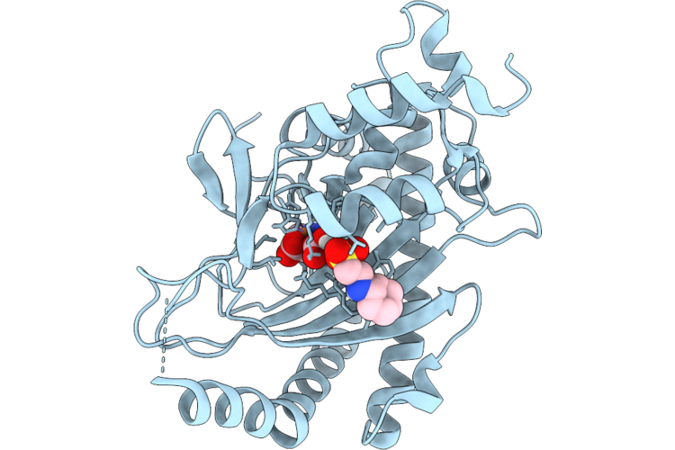 9RZH image