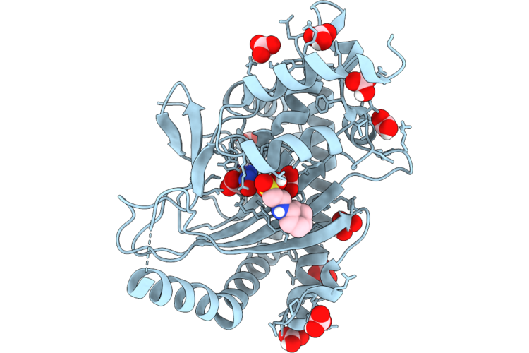 9RZJ image