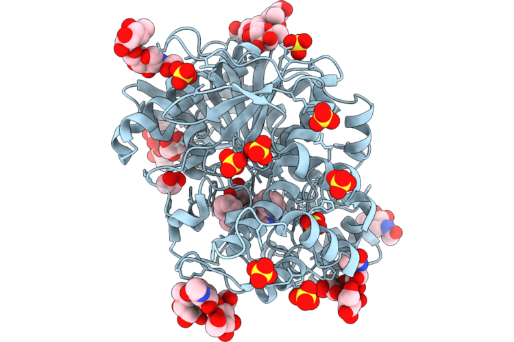9RZP image