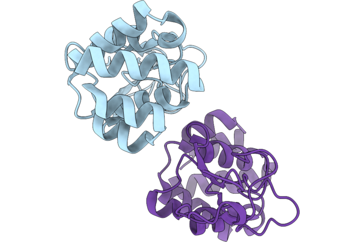 9RZQ image