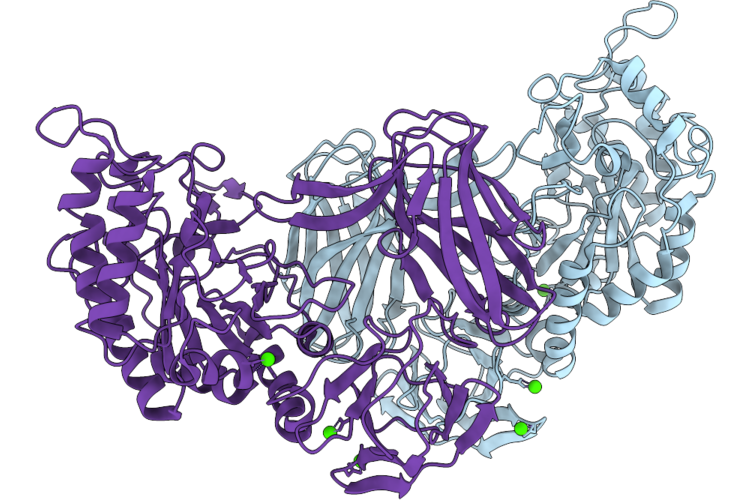 9RZX image