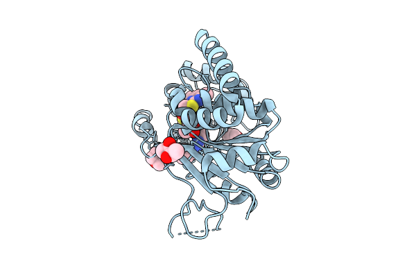 9S20 image