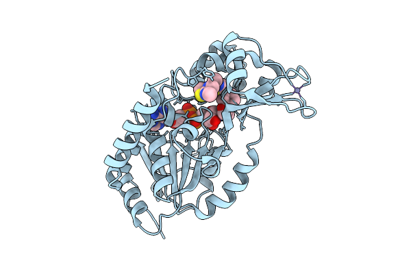 9S22 image