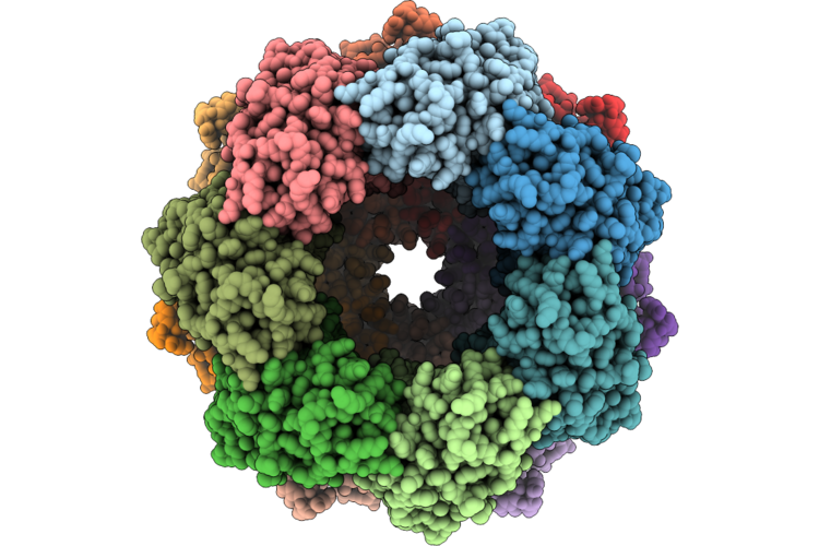 9S34 image
