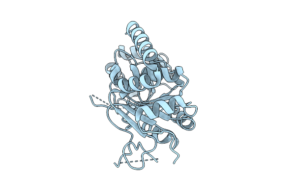 9S44 image