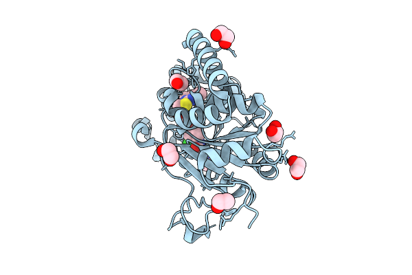 9S46 image