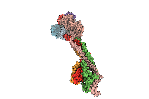 9S5N image