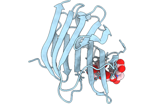 9S62 image