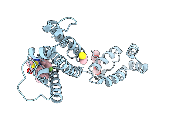 9S6W image