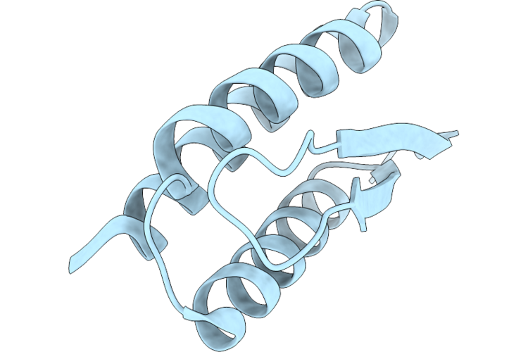 9S82 image