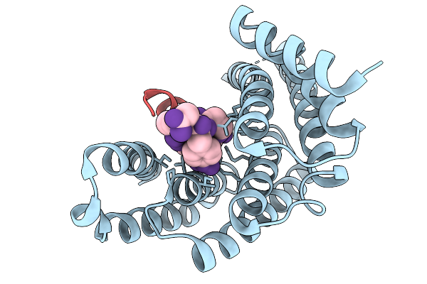 9SAC image
