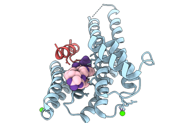 9SAE image