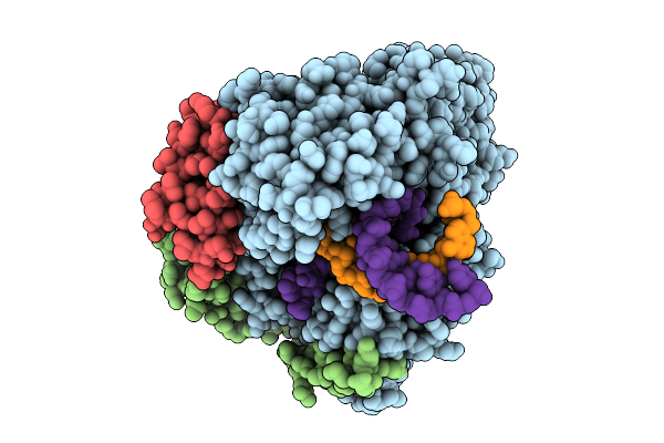 9SAP image