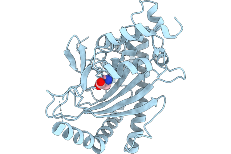 9SBE image