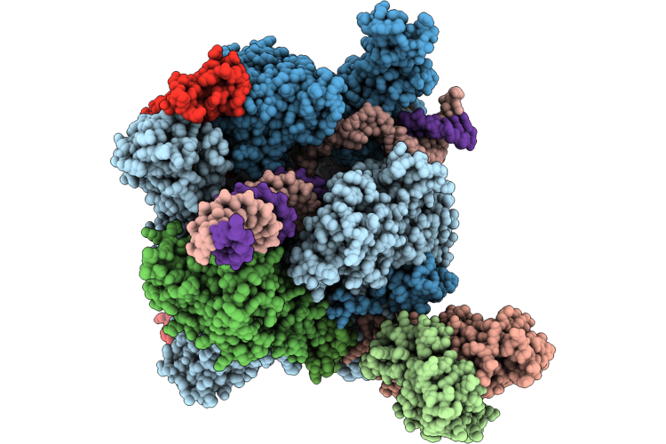 9SBW image