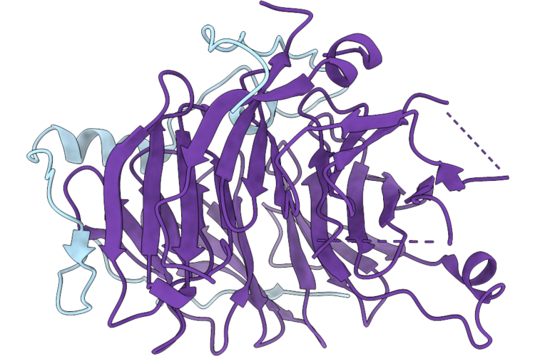 9SCD image