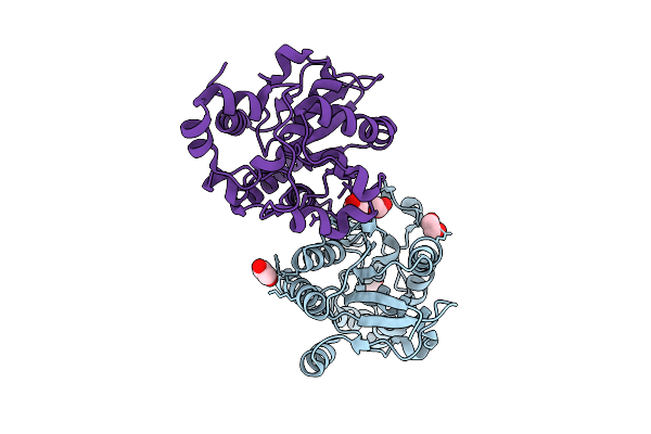 9SD0 image