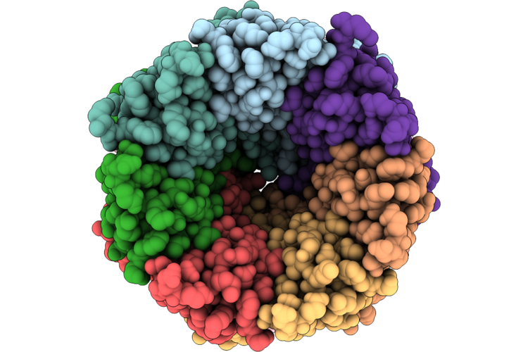 9SDB image