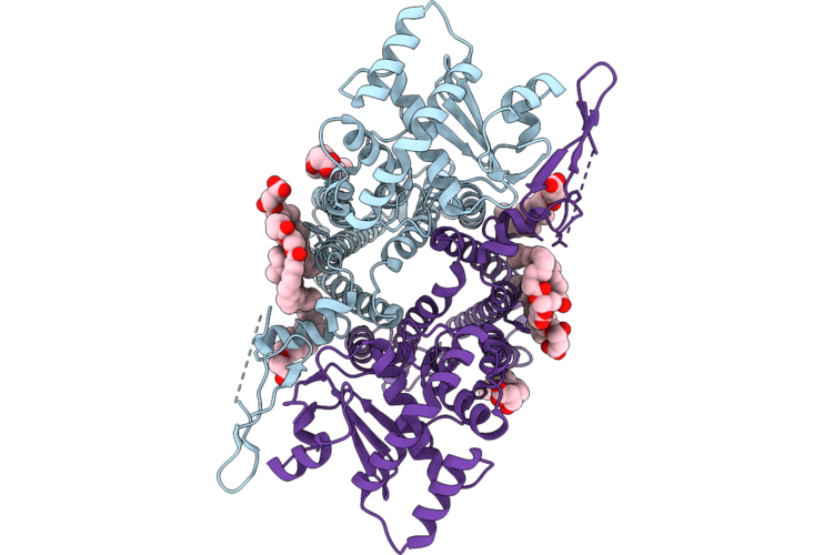 9SDH image