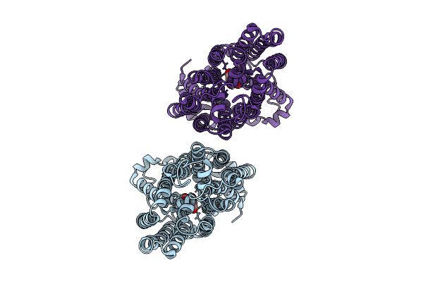 9SDL image